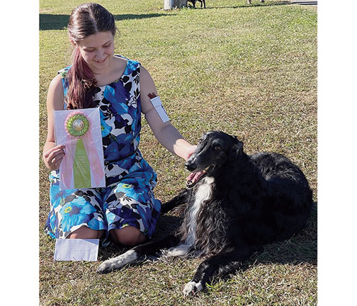 Top Junior Handler 2024